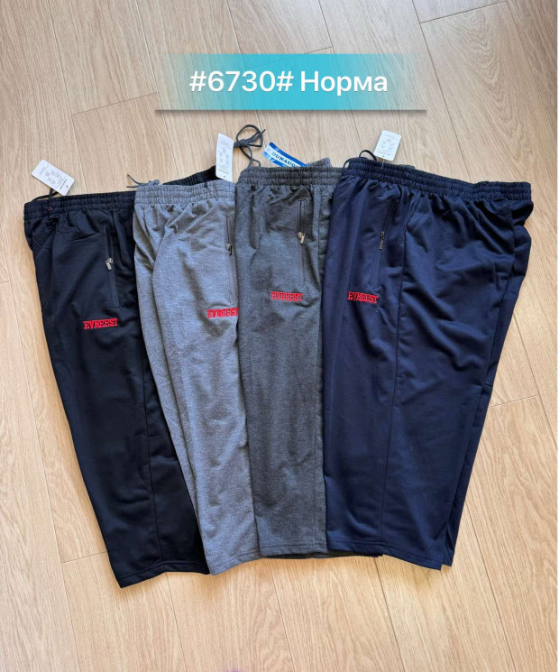 Бриджі чоловічі "6730" (р: 46-64) мікс кольорів, в упаковці 6 шт. №369640 - NikolayNolen