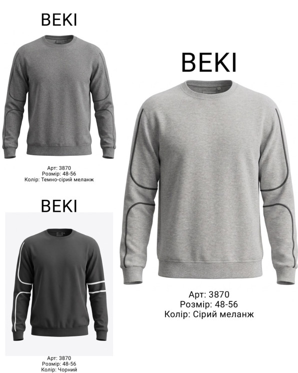 Світшот чоловічий, двунитка, м. 3870 (р. 48-56), 3 кольори, в упаковці 5 штук №347626 - 