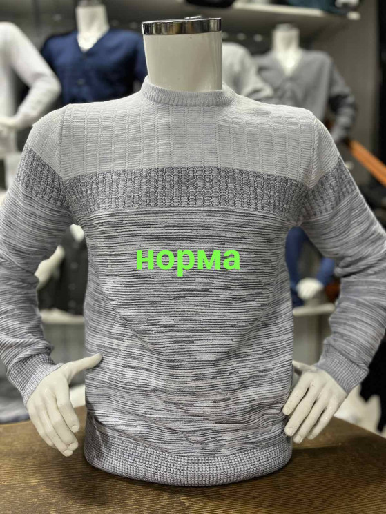 Светр чоловічий "Vicente1805" акрил/вовна (Розмір: 46-52) в упаковці 3 штуки №155884 - Wolf HR1900