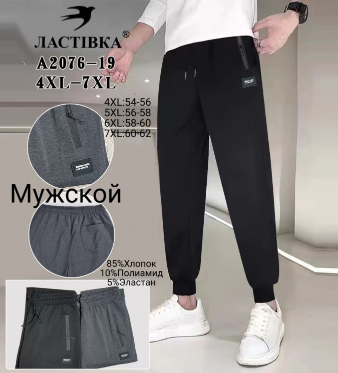 Спортивні штани чоловічі "2016-19" (р: 4XL-7XL) 2 кольори, в упаковці 6 шт. №376376 - Mixmoda SER1772
