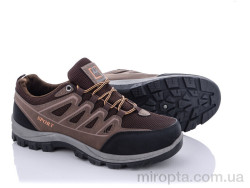 Кросівки 9-776 coffee р: 40-45, в упаковці: 8 пар, купити тільки гуртом