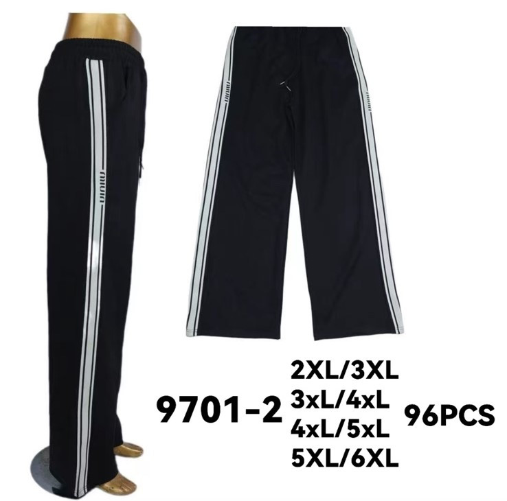 Спортивні штани жіночі трикотаж м.9701-2 (р: 2XL-6XL) в упаковці 12 штук №756511 - Haner 449/451