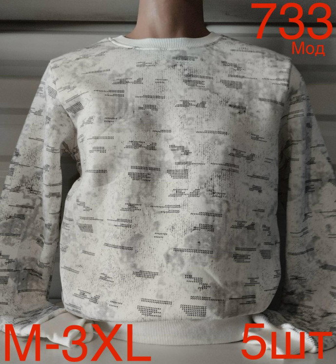 Світшот чоловічий фліс м.733 (р.М-3XL)  в упаковці 5 штук 758517 - Nadiyka BG/PO2161-2162