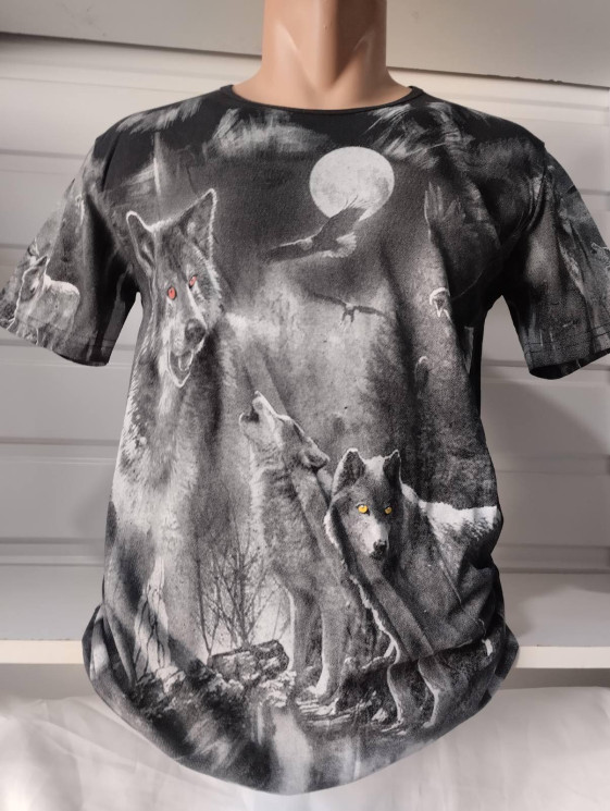 Футболка чоловіча, трикотаж (розмір: M-2XL ), в упаковці 4 штуки №341527 - Vanda SE1013
