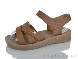 Шльопанці 2503 brown р: 37-42, в упаковці: 8 пар, купити тільки гуртом