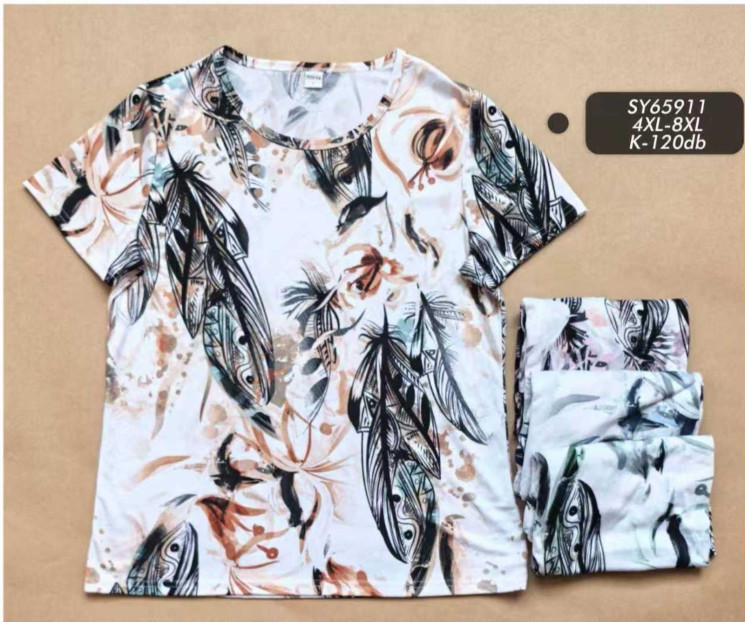 Футболка жіноча, бавовна, м.SY65911 (розмір: 4XL-8XL), мікс кольорів, в упаковці 6 штук №343738 - Vanda SE1013