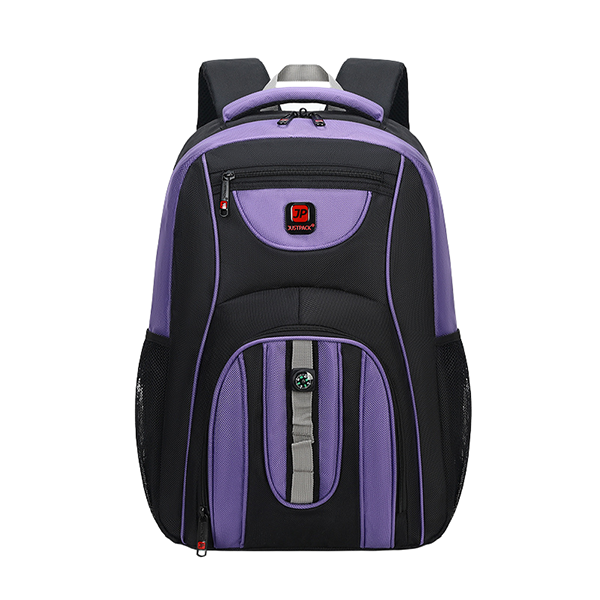 Міський рюкзак "Justpack" з компасом Колір: Фіолетовий м.8824 (р. 32*16*46 см) №755065 - Amsterdam HR277