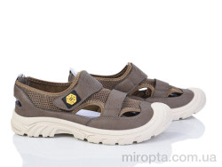 Кросівки Y307 brown р: 40-45, в упаковці: 8 пар, купити тільки гуртом