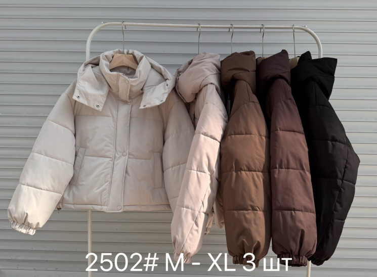 Куртка жіноча, плащівка, синтепон, м.2502 (розмір: M-XL ), 4 кольори, в упаковці 3 штуки №346816 - Vanda SE1013