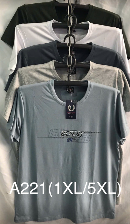 Футболка чоловіча "А221" трикотаж (р: XL-5XL) мікс кольорів, в упаковці 5 шт. №383801 - Mixmoda SER1772
