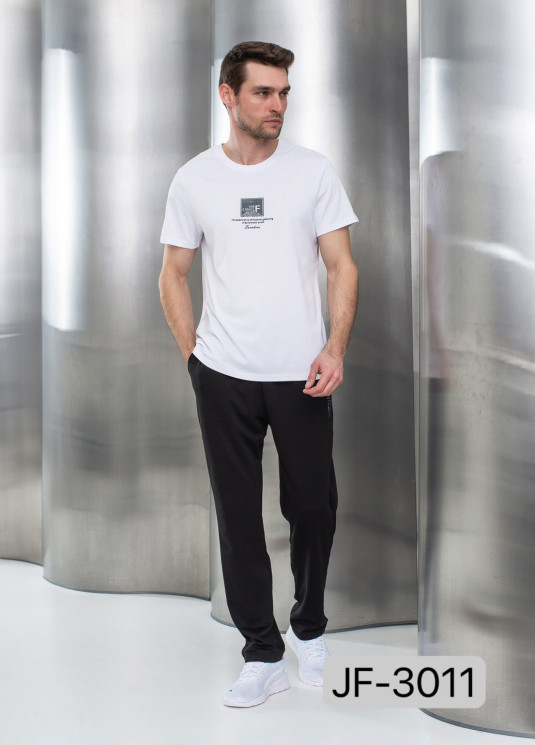 Штани чоловічі "3011" трикотаж/лакоста (Розмір: L-4XL) 3 кол в уп 5 шт №160960 - 