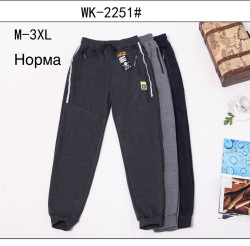 Спортивні штани (Розмір: M-3XL) чоловічі "WK-2251" в упаковці 5 штук №814451