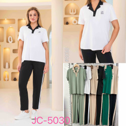 Костюм "5031" жіночий холодна тканина (Розмір: ХL-5XL) 5 кол в уп 5 шт №161736