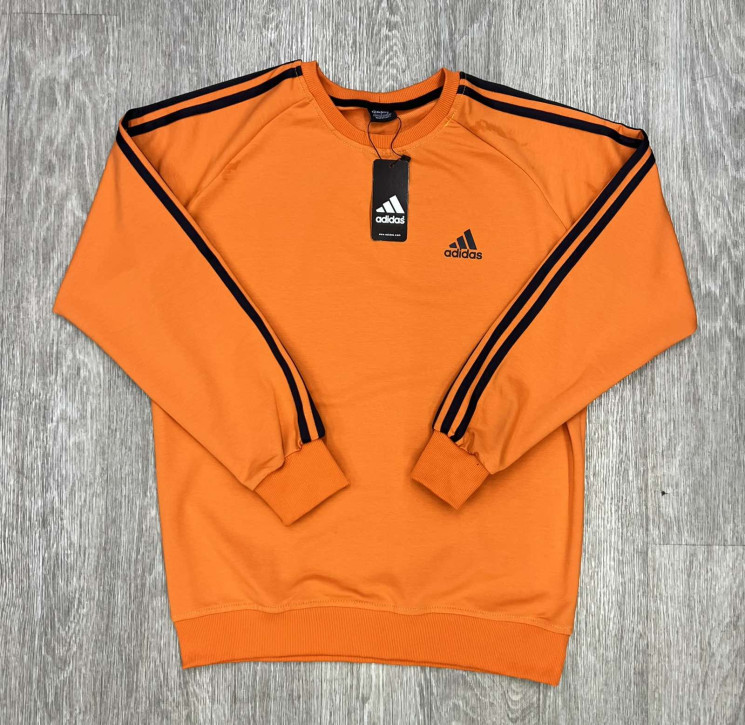 Світшот чоловічий ADIDAS "260" турецька двохнитка, пеньє (р: М-3XL) 6 кольорів, в упаковці 5 шт. №364854 - Spider