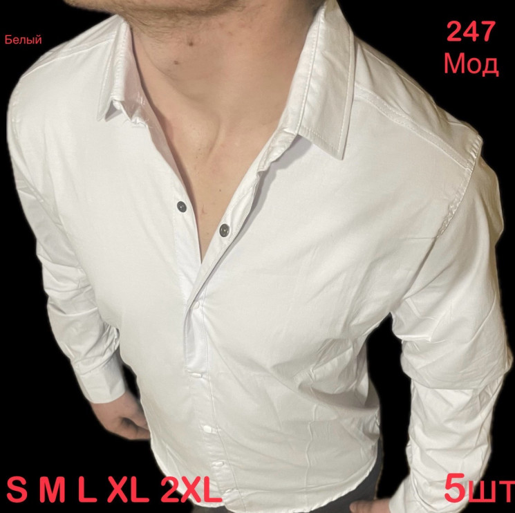 Сорочка чоловіча VARETTI стрейч котон  м.247  (р: S-2XL) 2 кольора в упаковці 5 штук №753485 - Nadiyka BG/PO2161-2162