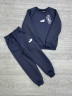 Спортивний костюм дитячий Puma "1025-1" тринитка на флісі (р: 4-8 років) 4 кольори, в упаковці 5 шт. №362547 - Spider