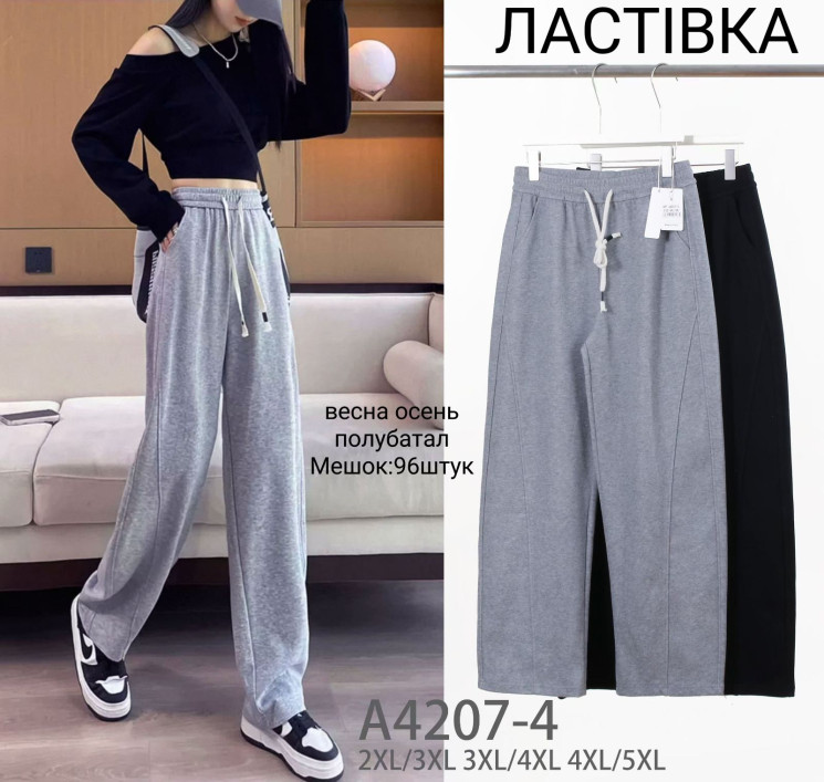 Спортивні штани жіночі трикотаж м.A4207-4 (р: 2XL-5XL) 2 кольори в упаковці 12 штук №756487 - Haner 449/451