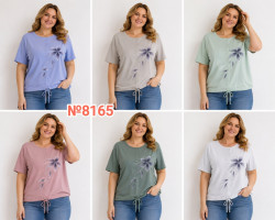 Футболка жіноча, трикотаж, м.8165 (р. 3XL-6XL ), 6 кольорів, в упаковці 4 штуки №346177