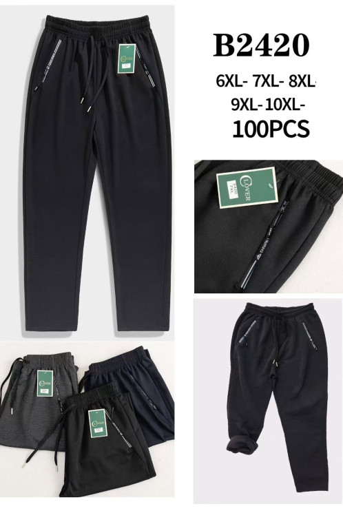 Спортивні штани чоловічі, трикотаж, фліс, м.В2420 (р: 6XL-10XL), 3 кольори, в упаковці 5 шт. №333757 - Iris BG/PO 436