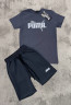 Костюм дитячий Puma кулір, пеньє м.280-3 (р. 13-17 років) 4 кольора в упаковці 5 штук №753933 - ChampionSE829