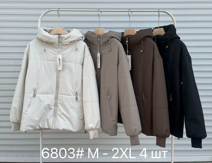 Куртка жіноча, плащівка, синтепон, м.6803 (розмір: M-XXL ), 4 кольори, в упаковці 4 штуки №346765 - Vanda SE1013