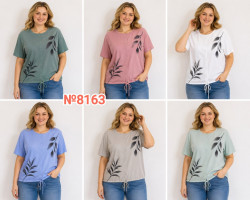 Футболка жіноча, трикотаж, м.8163 (р. 3XL-6XL ), 6 кольорів, в упаковці 4 штуки №346178