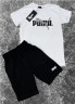 Костюм дитячий Puma кулір, пеньє м.280-2 (р. 9-13 років) 3 кольора в упаковці 5 штук №753934 - ChampionSE829