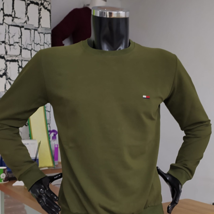 Батник чоловічий норма (Розмір: S - 2XL) №805484 - Wolf