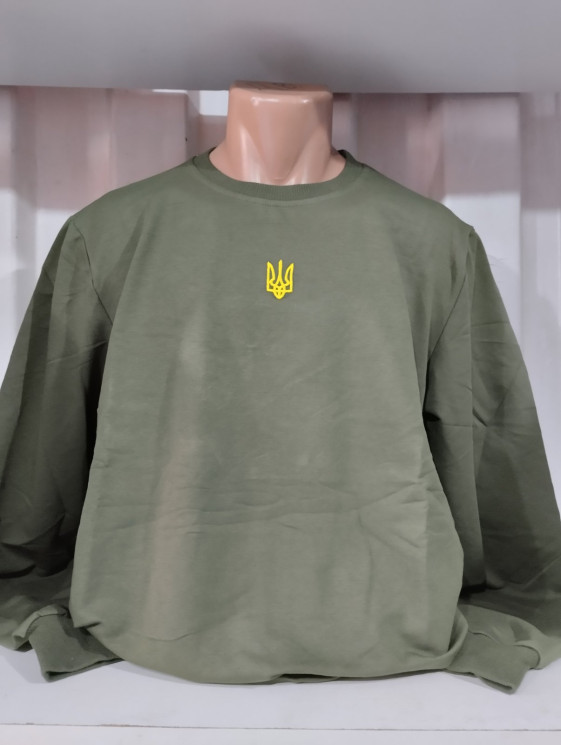 Батник чоловічий батал (Розмір: 2XL-6XL) двонитка в упаковці 5 штук №150018 - Stinger WE1120