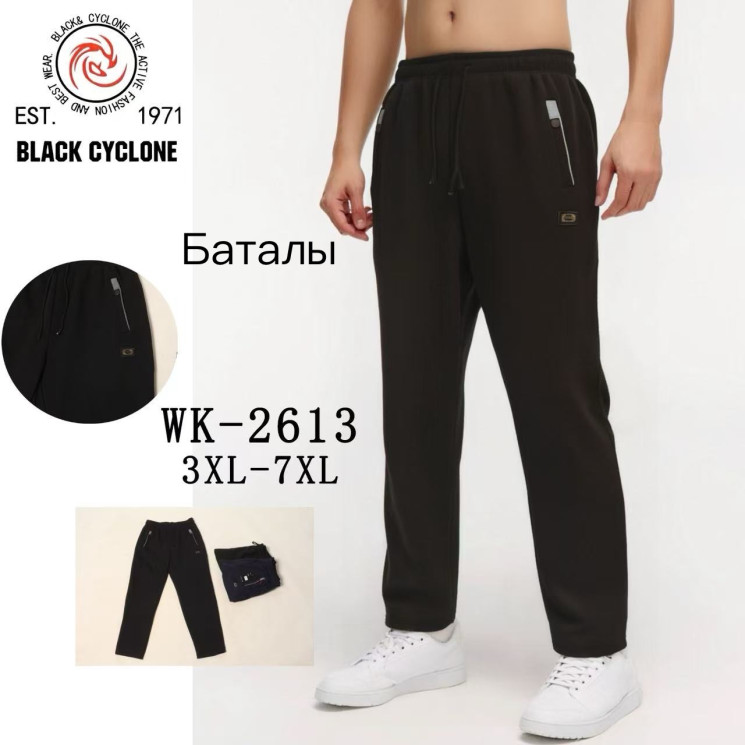 Спортивні штани чоловічі "2613" (р: 3XL-7XL) 3 кольори, в упаковці 5 шт. №375643 - Megasport