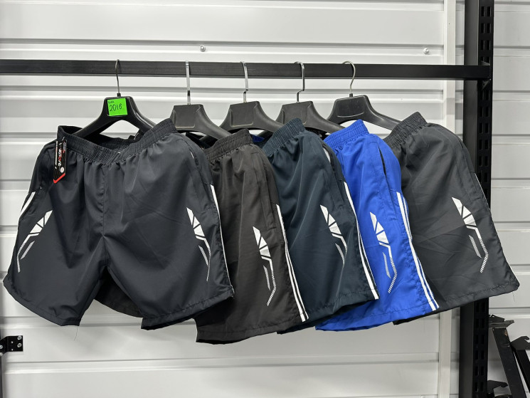 Шорти чоловічі "2016" (р: XL-5XL) 5 кольорів, в упаковці 5 шт. №370164 - Eiliya WE3113