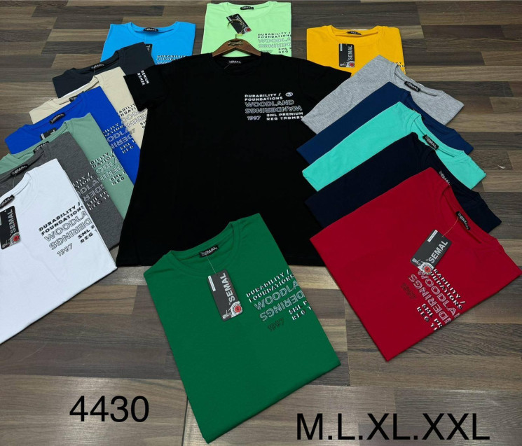 Футболка чоловіча "4430" (р: M,L,XL,2XL) 16 кольорів, в упаковці 4 шт. №367113 - Wolf HR1900