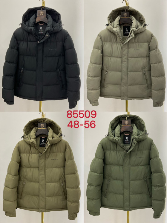 Куртка чоловіча холофайбер плащівка м.85509 (р.48-56) 4 кольора в упаковці 5 штук №759454 - Jaket WE3009