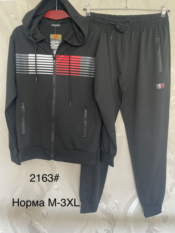 Спортивний костюм чоловічий, трикотаж, м.2163 (Розмір: M-3XL), 2 кольори, в упаковці 5 шт. №332330 - 