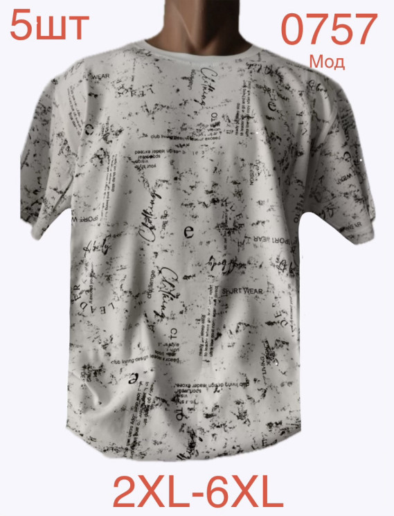 Футболка чоловіча трикотаж м.0757 (р.2XL-6XL) в упаковці 5 штук №763148 - Nadiyka BG/PO2161-2162
