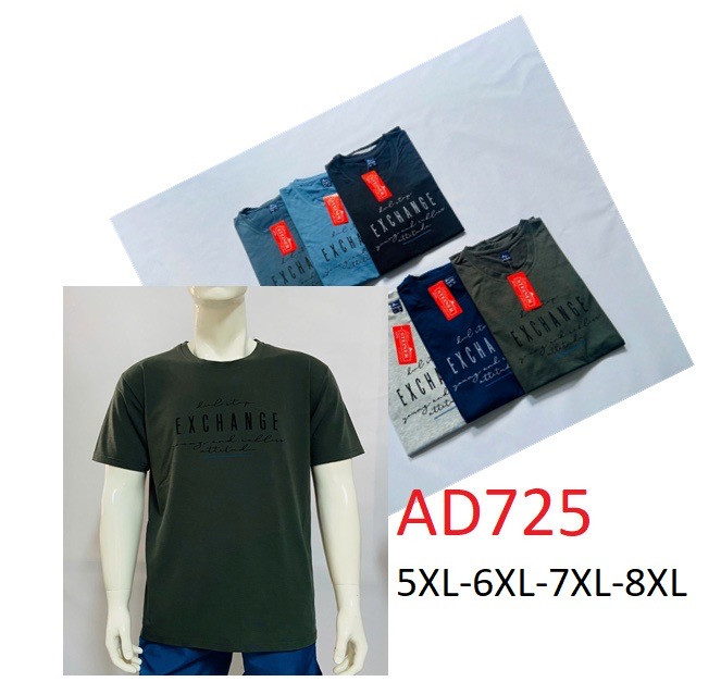 Футболка чоловіча, трикотаж, м.АDD725 (р. 5XL-8XL ), мікс кольорів, в упаковці 5 шт. №329327 - Vanda SE1013