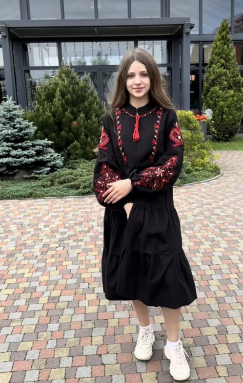 Сукня вишиванка жіноча, льон (розміри: S,M,L ), в упаковці 3 штуки №320881 - Delux 909