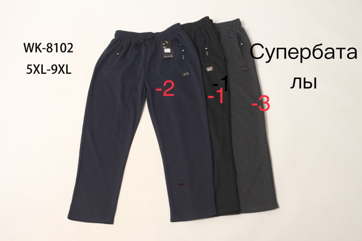 Спортивні штани чоловічі "8102" (р: 5XL-9XL) 3 кольори, в упаковці 5 шт. №370670 - Mixmoda SER1772