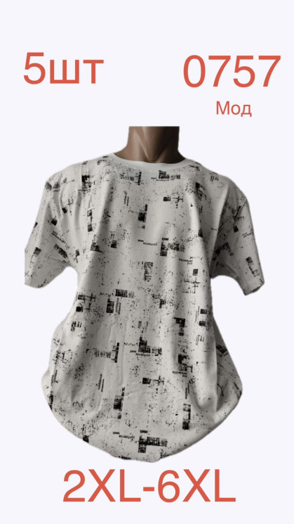 Футболка чоловіча трикотаж м.0757 (р.2XL-6XL) в упаковці 5 штук №763150 - Nadiyka BG/PO2161-2162