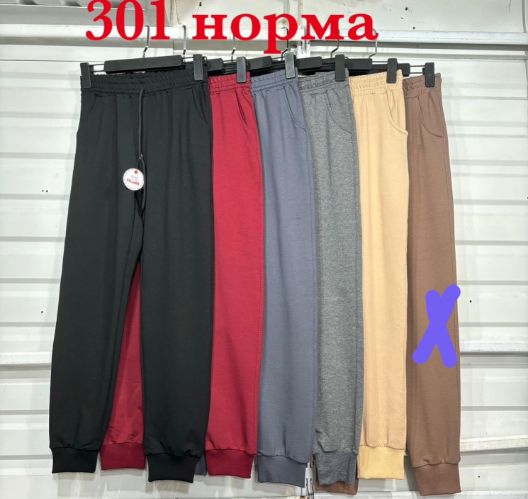 Спортивні штани жіночі "301" двохнитка (Розмір: 42-50) 5 кольори в упаковці 5 штук №160245 - 