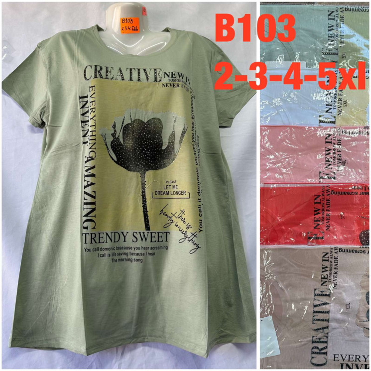 Футболка жіноча "B103" (р: 2XL,3XL,4XL,5XL) мікс кольорів, в упаковці 5 шт. №368384 - Valentina PA1005