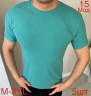 Футболка чоловіча  , трикотаж, м.15 (р. M–3XL),  14 кольорів, в упаковці 5 штук №750428 - Nadiyka BG/PO2161-2162