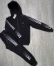 Спортивний костюм чоловічий 101 пенье  (р: М-3XL) 8 кол в уп. 5 штук №302173 - 