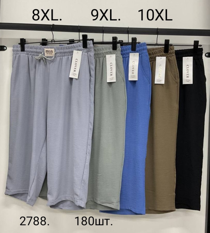 Бриджі жіночі, жатка (р: 8XL,9XL,10XL) в упаковці 6 шт. різного кольору №368349 - Saturn UG 241