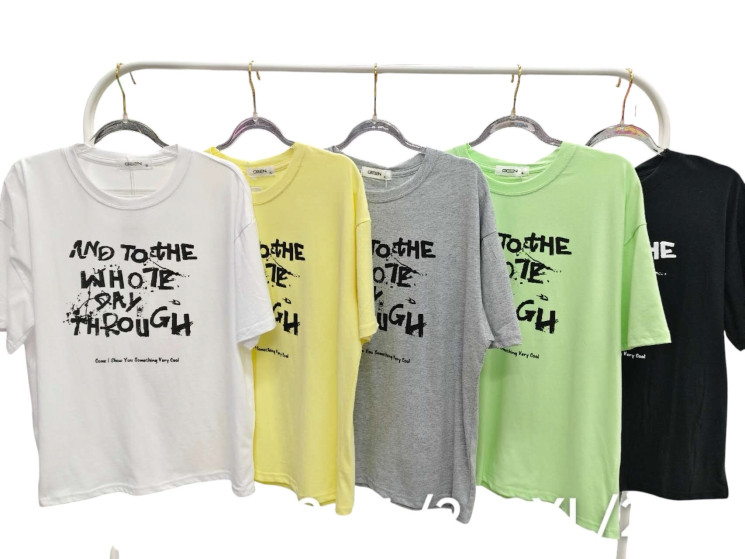 Футболка жіноча, котон (розмір: L-2XL ), мікс кольорів, в упаковці 6 штук №344618 - Vanda SE1013