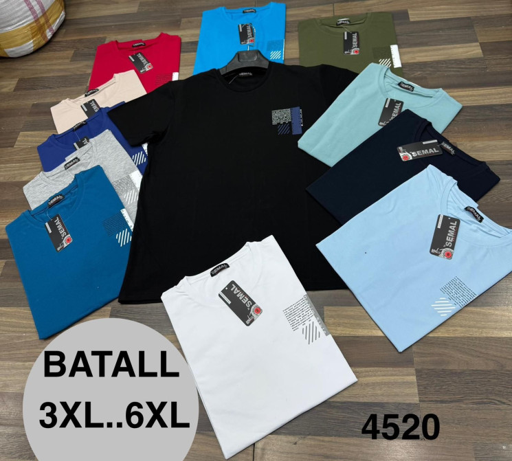 Футболка чоловіча "4520" (р: 3XL,4XL,5XL,6XL) 11 кольорів, в упаковці 4 шт. №367120 - Wolf HR1900