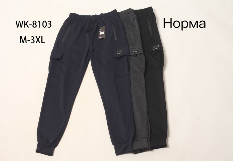 Спортивні штани чоловічі "8103" (р: М-3XL) 3 кольори, в упаковці 5 шт. №375653 - Megasport