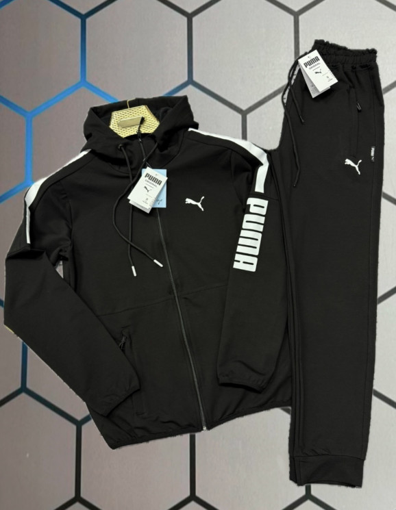 Спортивний костюм чоловічий Puma "4767" (р: S-2XL) в упаковці 5 шт. №373912 - AlexClothes SER2276