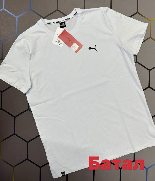Футболка чоловіча "4392" (р: 2XL-6XL) в упаковці 5 шт. №371032 - AlexClothes SER2276