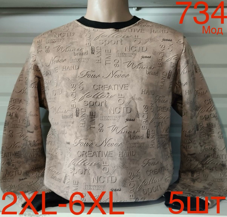 Світшот чоловічий фліс м.734 (р.2XL-6XL)  в упаковці 5 штук 758528 - Nadiyka BG/PO2161-2162